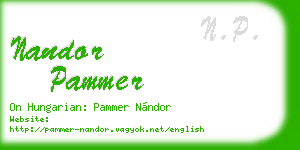 nandor pammer business card